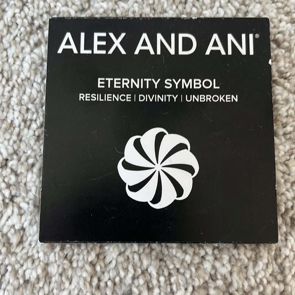 Alex&Ani Eternity Symbol charm bracelet - Picture 4 of 5